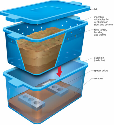 DIY Worm Farm and Vermicomposting Basics